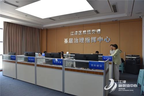 重慶江津區(qū)人民政府信息技術(shù)咨詢服務(wù) 驅(qū)動(dòng)數(shù)字化轉(zhuǎn)型與區(qū)域發(fā)展